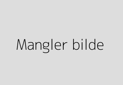 mangler bilde